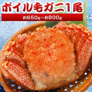 【2024製造】ボイル毛ガニ1尾650g～800g【配送不可地域：離島・沖縄県】【1381361】