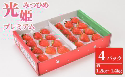光姫プレミアム（イチゴ）約1.2kg～約1.4kg（4パック） ／ いちご 苺 光姫 プレミアム フルーツ 大粒 ジューシー 香り 甘み 4パック 約1.2kg 約1.4kg 冷蔵便 朝採れ 季節限定 ギフト 果物 詰め合わせ スイーツ素材 果実 送料無料 大阪府 No.272