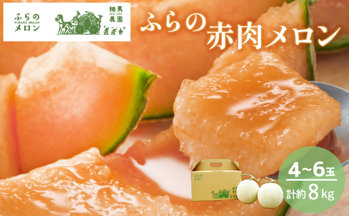 【2026年6月発送】ふらの 赤肉メロン 4～6玉入 計約8kg (相馬農園) メロン フルーツ 果物