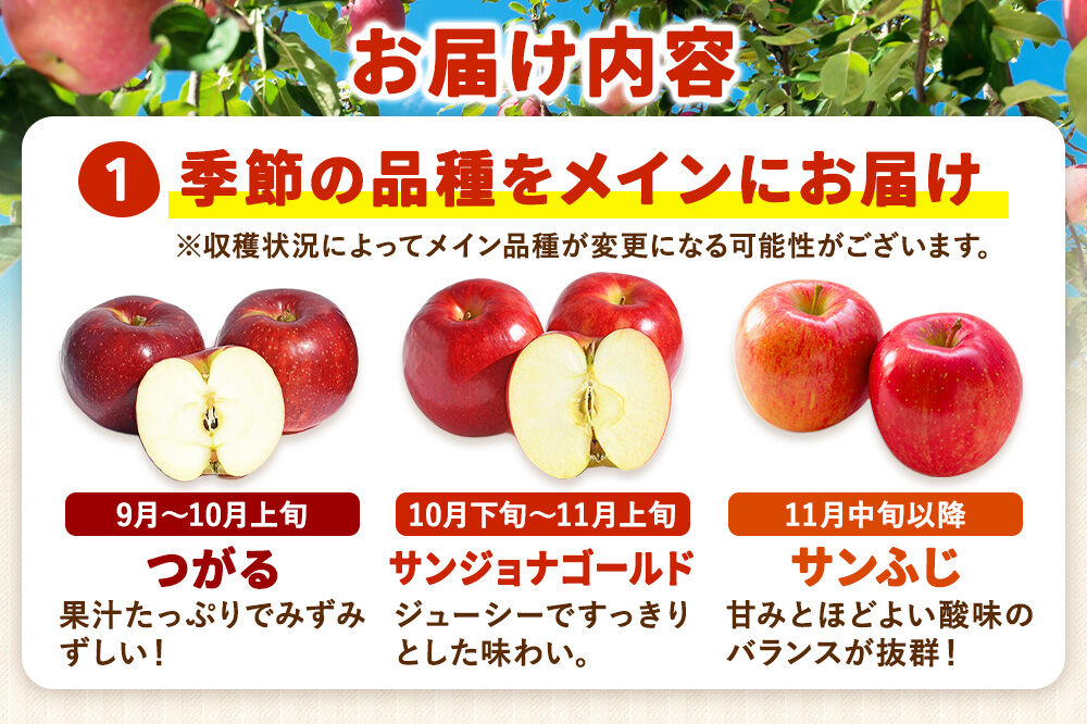 【26年9月下旬～発送】りんご ねぷたりんご バラエティーセット【家庭用】約5kg【品種おまかせ】 家庭用 青森県 弘前市 果物 フルーツ 林檎 リンゴ くだもの 不揃い 規格外 [産地直送 詰め合わせ おまかせ セット アップル おいしい 果実 美味 甘い]