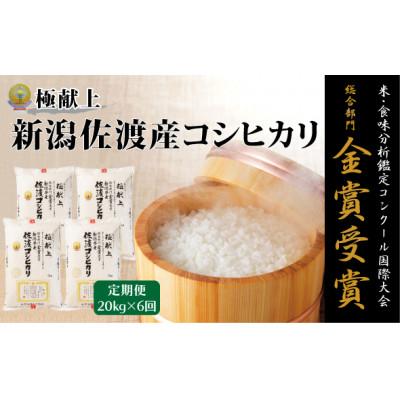 ふるさと納税 佐渡市 【発送月固定定期便】【先行受付】食味鑑定コンク-ル金賞　佐渡産コシヒカリ20kg全6回