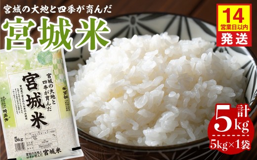 【14営業日以内に発送予定】宮城米 5kg×1袋 ブレンド米 業務用 お米 おこめ 米 コメ 白米 ご飯 ごはん おにぎり お弁当 【登米ライスサービス株式会社】tm732