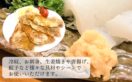 Japan Ginger厳選お試しセット（各種1本）