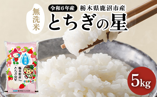 【数量限定】栃木県鹿沼市産 とちぎの星 無洗米 5kg 令和6年産 水稲うるち精米 単一原料米 お米  特A 大粒　※沖縄・離島への配送不可　※2024年10月上旬～2025年7月下旬頃に順次発送予定