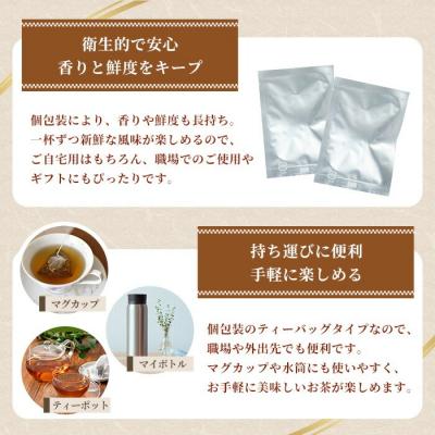 ふるさと納税 いちき串木野市 和紅茶 ティーバッグ 3g×20袋 計 60g 個包装 で 使いやすい 有機栽培 鹿児島 の 紅茶 |  | 02