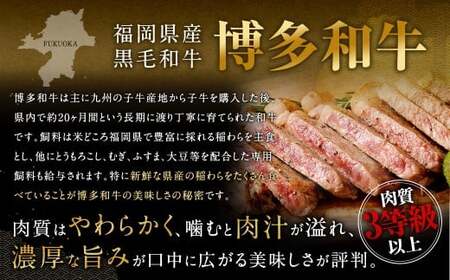 博多和牛 ステーキ （サーロイン） 4枚 （計約1kg） ＋ 佐賀牛 切り落とし 400g ／ 黒毛和牛 黒毛和種 和牛 牛肉 お肉 肉 サーロイン肉 セット 国産 九州 福岡県 太宰府市 冷凍