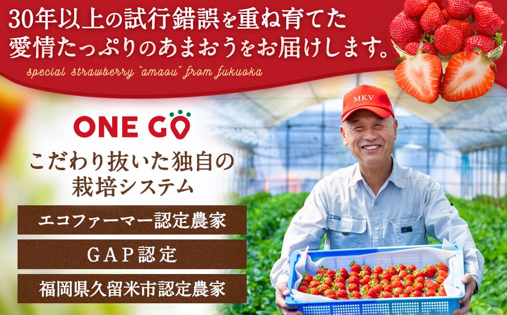 【予約受付】選べる大容量あまおう 1,680g 大粒 不揃い 選べる大容量あまおう （2L,グランデ,DX デラックス）減農薬 あまおう いちご 高級 いちごあまおう イチゴ 苺 フルーツ 果物 ふる