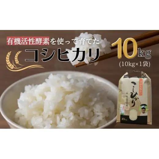 令和7年産 有機活性酵素を使用 新見産コシヒカリ 白米10kg×1袋