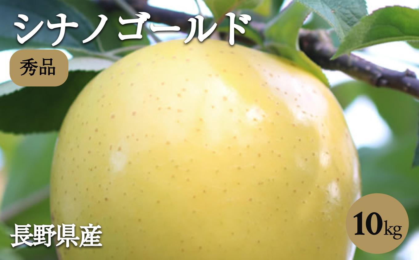 ジューシーな黄金色りんご ( シナノゴールド )  約5kg 秀品〈2026年10月下旬～11月末発送〉| 果物 くだもの フルーツ りんご 林檎 リンゴ 黄金色りんご シナノゴールド 長野県 信州 南信州 飯田市