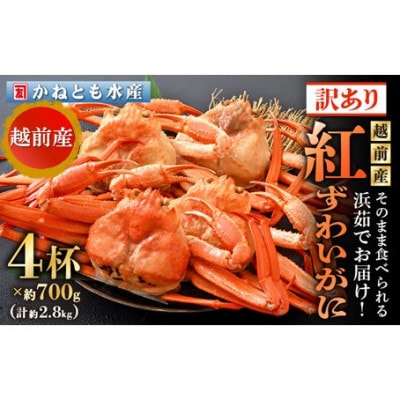 【訳あり】≪浜茹で≫越前産 紅ずわいがに 約700g × 4杯 食べ方しおり付【4月発送分】【配送不可地域：離島・北海道・沖縄・東北・関東・中国・四国・九州】【1555511】