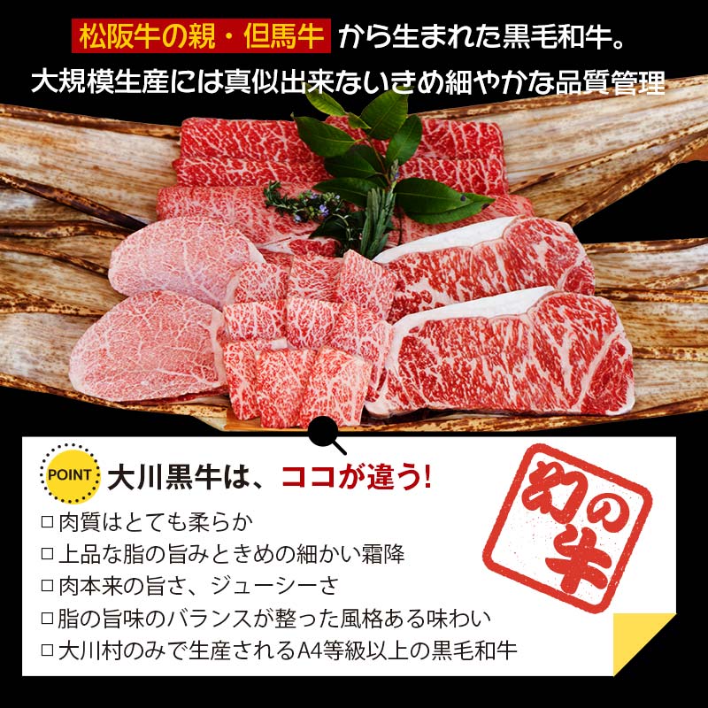 国産黒毛和牛 大川黒牛 サーロインステーキ A4以上（200g×2枚） 国産 黒毛和牛 A4 A5 ステーキ サーロイン 牛肉  バーベキュー BBQ ビフテキ 牛 ビーフ 肉 食品 高知県 大川村 