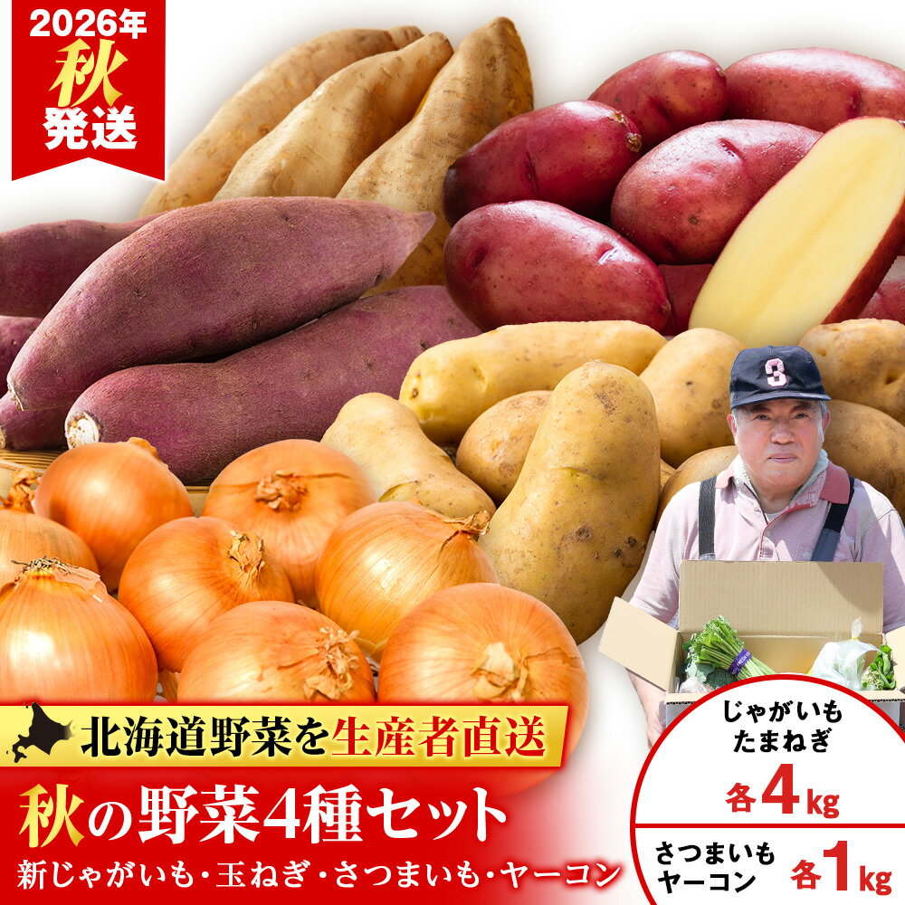 【ふるさと納税】2026年発送 旬のお野菜4種詰め合わせ 10kg以内《土居ファーム》 やさい 野菜 さつまいも ヤーコン じゃがいも 芋 いも たまねぎ 千歳 北海道【北海道千歳市】ギフト ふるさと納税