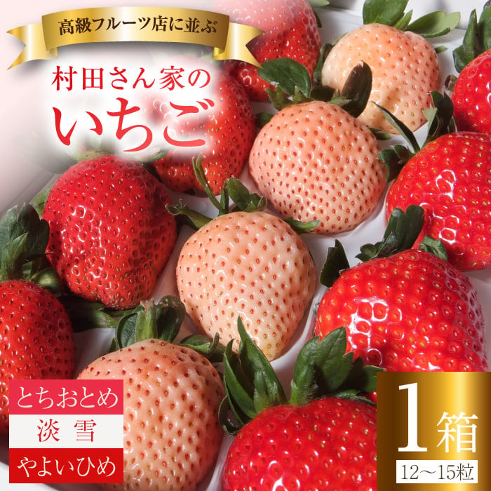 
【1～4月上旬発送】村田さん家のいちご 【3種食べ比べセット】 (1箱12～15粒）
