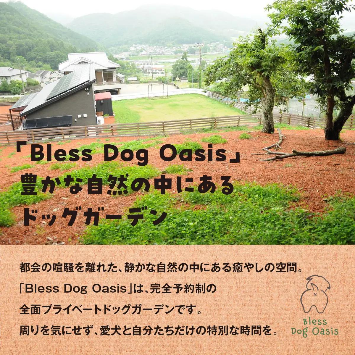 【完全予約制】自然を活かした全面プライベートドッグラン・ドッグガーデン 利用補助券 4,500円分 (500円 × 9回分) | Bless Dog Oasis | ドッグラン ドッグガーデン わんち