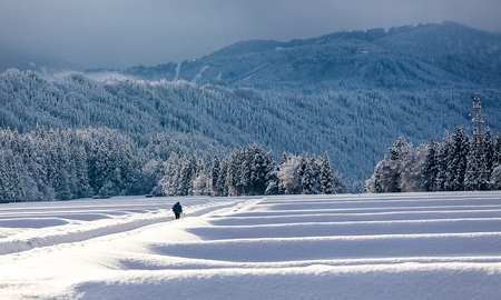 【 令和7年産 新米 予約 】魚沼産コシヒカリ 九左衛門の米 5kg（5kg×1袋）