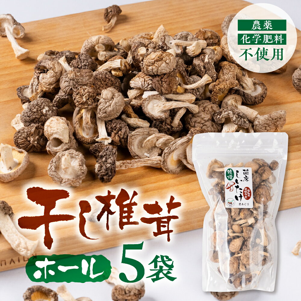 【ふるさと納税】《先行予約》干し椎茸 ホール 小分け 20g×5袋 干しシイタケ 国産 乾燥椎茸 菌床しいたけ 香り豊か 肉厚 旨味 だし用 高級 食物繊維 ギフト 人気 特産品 自宅用 業務用 訳あり 5000円