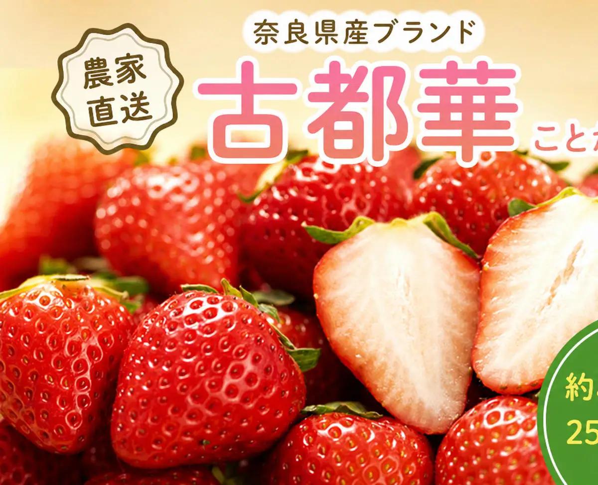 いちご 古都華 完熟 奈良県産 いちご【約500g 250g×2パック】【冷蔵 先行予約】