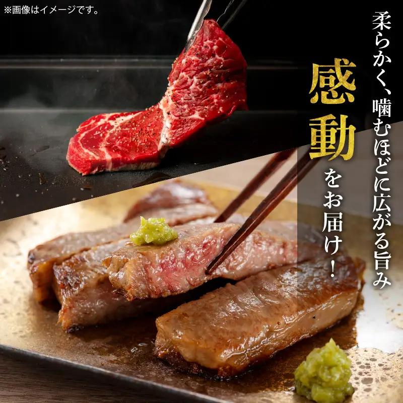 牛肉 ステーキ 牛肉[宮崎牛 モモ 800g]