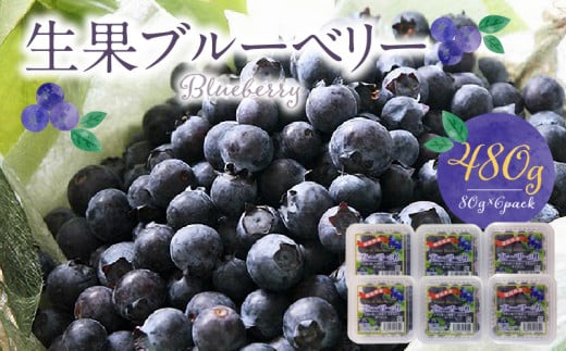 福岡県産 ブルーベリー生果 480g_福岡県産 生果 ブルーベリー 80g × 6パック 計 480g 耳納連山 麓 筑後川 恵み 国産 果物 フルーツ 新鮮 冷蔵 冷凍保存可 デザート グルメ お取り寄せ お取り寄せグルメ 九州 福岡県 久留米市 送料無料_Fx009