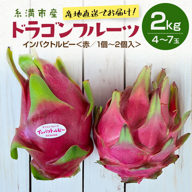 【ふるさと納税】【2025年発送】糸満市産 「ドラゴンフルーツ 赤」2kg(4～7玉 ※インパクトルビー1個～2個入り) 国産 産地直送 果実 果物 くだもの フルーツ 贈り物 贈答品 お取り寄せ トロピカルフルーツ 旬 あっさり 厳選 常温 ピタヤ 火龍果 南国 沖縄産 沖縄県 糸満市