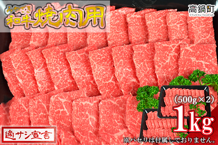 ＜みやざき和牛 焼肉用 1kg＞2か月以内に順次出荷します【c437_hn_x1】