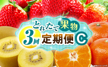 とれたて果物 3回定期便C |果物 フルーツ 果物定期便 フルーツ定期便 定期便 いちご キウイみかん 濃厚 旬の果物 定期 人気 おすすめ 贈答 贈り物 青果物 糖度 香川県 |_mk165-t06