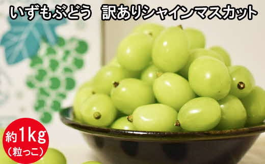 
            いずもぶどう　訳ありシャインマスカット（粒っこ）
          