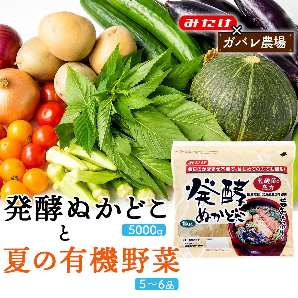 【コラボE】発酵ぬかどこ1kg×5＆夏の有機野菜5～6品 No.620