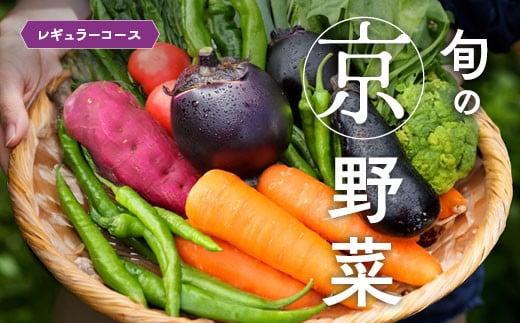 
旬の京野菜　レギュラーコース
《野菜詰め合わせ 野菜セット 京野菜 旬の野菜 新鮮野菜 有機野菜 減農薬》
