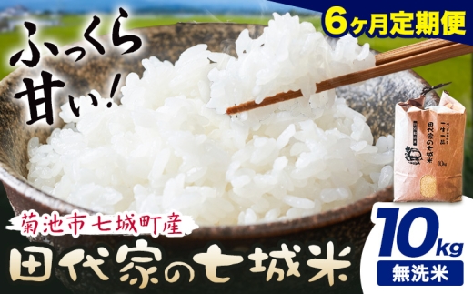 【6ヶ月定期便 】令和7年産 菊池市七城町産 田代家の七城米 七城ヒノヒカリ 無洗米 10kg 田代こめや《お申込み翌月から出荷》熊本県 菊池市 米 お米 精米 ひのひかり 菊池市産 熊本県産 九州産 送料無料