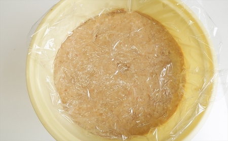 【先行予約・令和9年2月上旬発送】簡単味噌づくりキット 4kg プロが仕込んで自宅で熟成発酵 寒仕込み味噌 新潟県産大豆・コシヒカリ使用 米みそ[ZB598]
