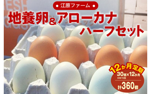 【定期便12か月】江原ファーム　地養卵＆アローカナハーフセット（30個） | 卵 定期便 30個 玉子 たまご タマゴ 生卵 鶏卵 生みたて 産みたて アローカナ 地養卵 食べくらべ 食べ比べ セット 新鮮 濃厚 健康 青い卵 TKG たまごかけごはん ご飯のお供 国産 ギフト 贈答 贈り物 お中元 お歳暮 プレゼント 茨城県 古河市 直送 農家直送 産地直送 _AG21