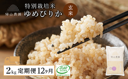 【定期便 12ヶ月】特別栽培米産地直送 玄米 ゆめぴりか 2kg×12回 《帰山農園》 お米 こめ 北海道米 北海道産米