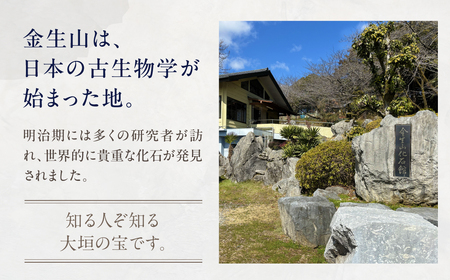 金生山化石 トートバッグ A4 対応｜トートバッグ