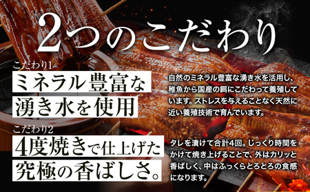 レビューキャンペーン実施中！ うなぎ 鰻 特上  2尾 1尾当たり180g以上 福岡県産 鰻の蒲焼き 数量限定 株式会社HOMIE 国産《45日以内に出荷予定(土日祝除く)》