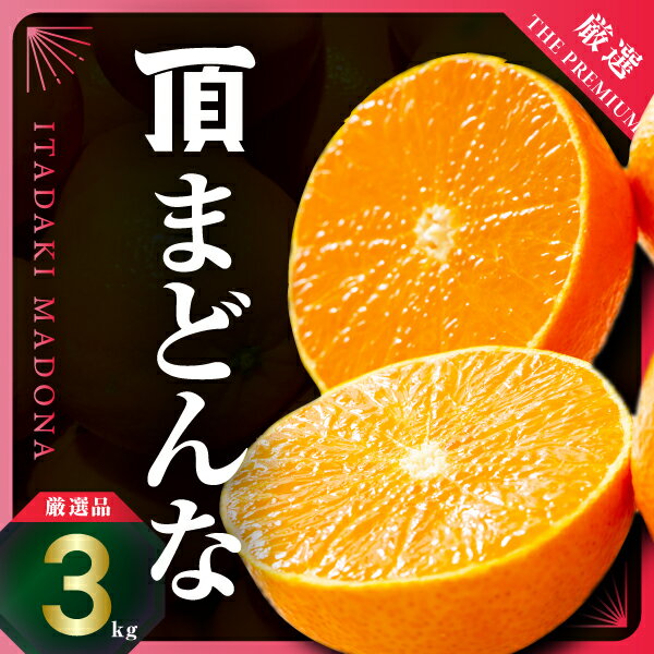 【ふるさと納税】紅まどんなと同じ品種《頂まどんな》ご家庭用 3kg 【E31-22】_ みかん 蜜柑 ミカン フルーツ くだもの 果物 人気 美味しい 愛媛県 八幡浜市 家庭用 ふるさと 柑橘類 柑橘 【1329228】 YWTAC012