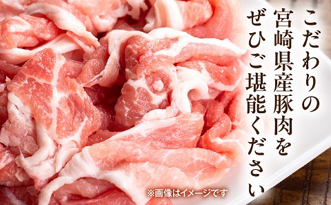 宮崎県産豚肉小間切れ 200g×5パック 国産 宮崎県産 豚肉 1kg こま切れ 豚小間 豚こま 冷凍 小分け パック カレー おかず 豚汁 豚キムチ スタミナ炒め グルメ お取り寄せ_M109-02