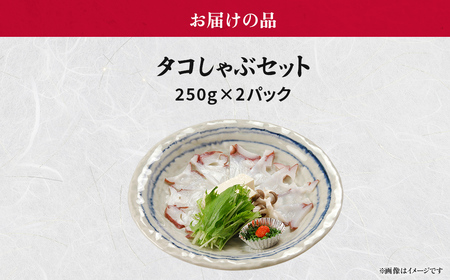 タコしゃぶセット 250g×2パック TYUR050