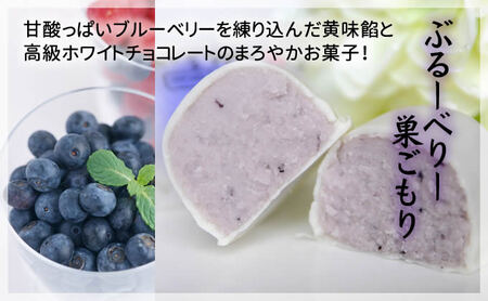 フルーツ な 巣ごもり たち 12個入 | 和菓子 お菓子 お茶請け 餡子 和風 スイーツ お土産 贈り物 長野県 飯田市 信州