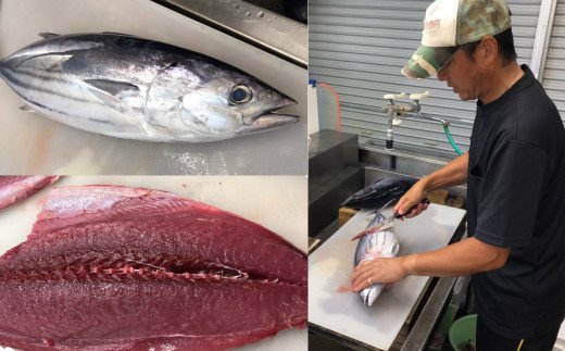 【四国一小さなまち】≪ヤマシン≫わら焼き土佐の鰹タタキ２節 ★6ヶ月★定期便 土佐料理 藁焼きたたき カツオ 鰹 初鰹 下り鰹 海鮮 魚 薬味セット 旬 カツオ 1節約300g～400g 冷蔵配送 定