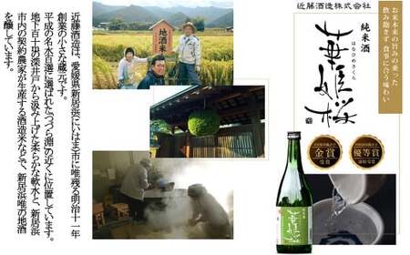 愛媛県初のみかんジン誕生！　PACHIPACHI GIN（クラフトジン）200ml×2本　★近藤酒造★