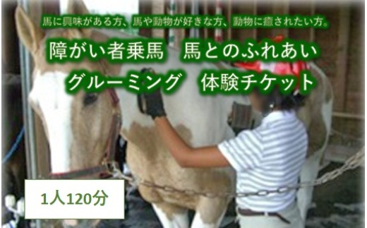
            障がい者乗馬　馬とのふれあい　グルーミング　体験チケット　1名様 120分
          