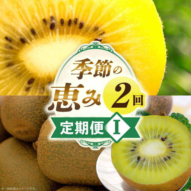 【ふるさと納税】季節の恵み2回定期便I 果物 定期便 旬の果物 旬のフルーツ フルーツ 旬の定期便 果物定期便 旬の果物定期便 デザート スイーツ ご褒美 贈答 贈り物 ギフト キウイ キウイフルーツ ゴールドキウイ フルーツ定期便 香川県 三木町 送料無料