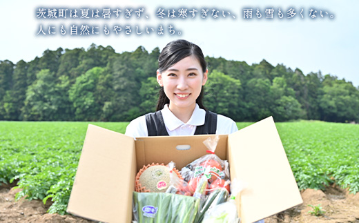 657 茨城町 春の野菜セット メロン トマト きゅうり キャベツ みず菜