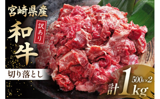 牛肉 訳あり 宮崎県産和牛切り落とし 500g×2 [ウィズ・クリエイティブ 宮崎県 日向市 452060763] 冷凍 小分け 数量限定 不揃い 牛 和牛 黒毛和牛 切り落とし