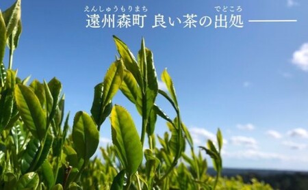 緑茶 ティーバッグ みたらしちゃん お世話になりました 濃旨緑茶ティーバッグ 2g×3ヶ入×20袋 ギフト プレゼント 日本茶 お茶 静岡 森町