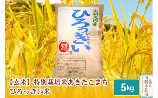 【玄米】 秋田県産 あきたこまち 5kg 令和5年産 特別栽培米 ひろっきい米