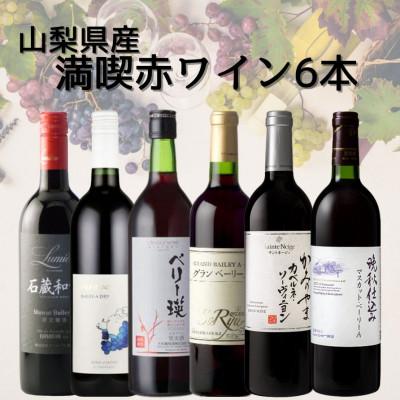 ふるさと納税 山梨県 山梨県産ワイン満喫赤6本セット(3)004