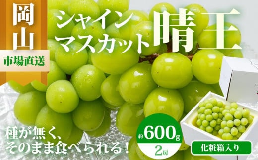 ぶどう 2026年  シャイン マスカット 晴王 2房（1房 600g以上）化粧箱入り マスカット ブドウ 葡萄  岡山県産 国産 フルーツ 果物 ギフト