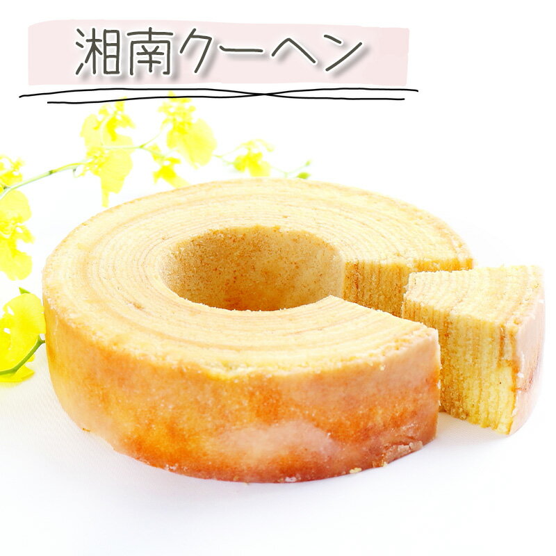【ふるさと納税】バームクーヘン 湘南クーヘン 1ホール 保存料不使用 菓子 洋菓子 焼き菓子 お菓子 おかし スイーツ おやつ 美味しい 手作り ドルチェ デザート 冷蔵 バター 卵 玉子 tamago タマゴ ブランデー ギフト プレゼント お取り寄せ 菊野屋製菓舗 神奈川 湘南 藤沢